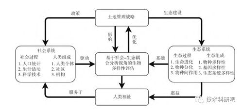 多技術融合在生態系統服務功能社會價值評估中的應用及論文寫作與信息系統運行維護拓展分析